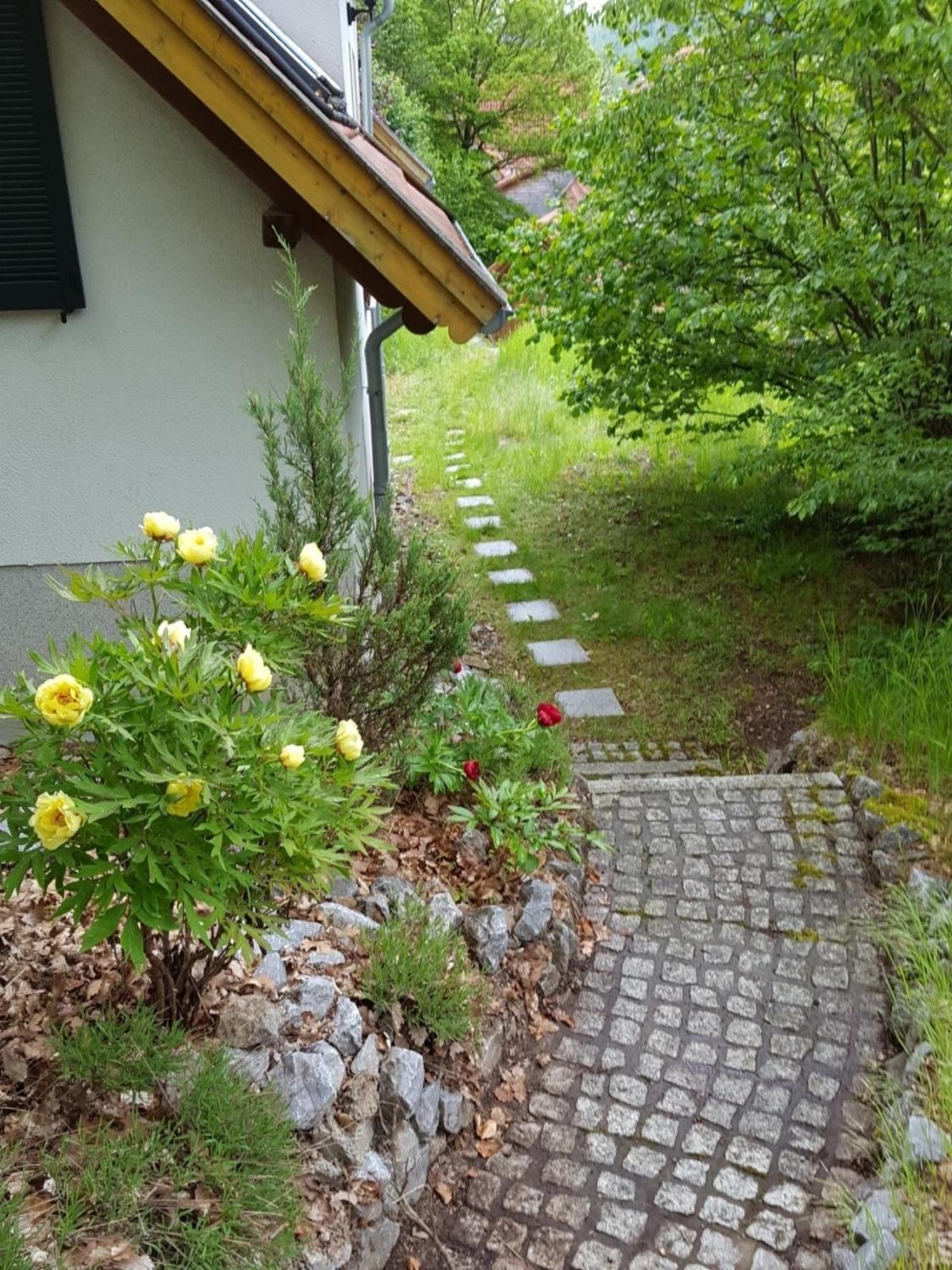 Gartenwohnung Bodetalblick Thale Eksteriør bilde